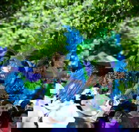 Family Fun Carnivale - Events Australia