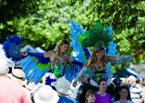 Family Fun Carnivale - Tourism Bookings 0