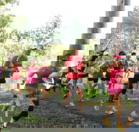 Gladstone Weekly Parkrun - Tourism Bookings