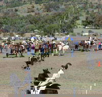 Gresford Agricultural Show - Events Australia