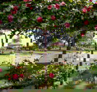 Griffith Spring Fest - Events Australia