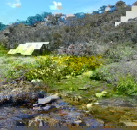 Hedonistic Hiking's Falls Creek to Hotham - Events Australia