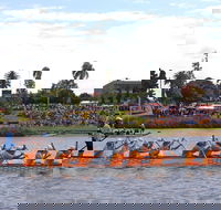 Jacaranda Dragon Boat Races - Events Australia