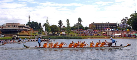 Jacaranda Dragon Boat Races - Tourism Bookings 0
