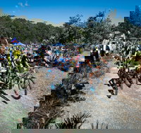 JetBlack Wild Wombat MTB Challenge - Events Australia