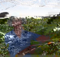 Kingsdale Wines - Cellar Door Wine Tastings - Events Australia