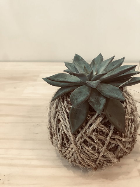 Kokedama Workshop - Events Australia 0