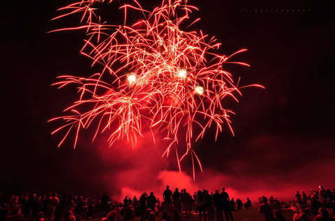 Leeton Sunrice Festival - Events Australia 2