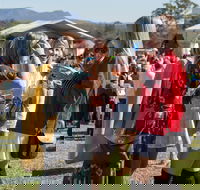 Lovedale Long Lunch - Events Australia