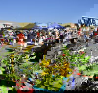 Maclean Community Monthly Markets - Events Australia