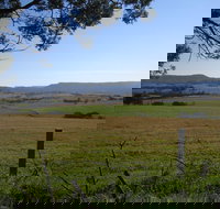 Milton Village Showground Markets - Events Australia