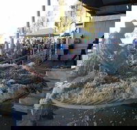 Narrabri Show - Events Australia