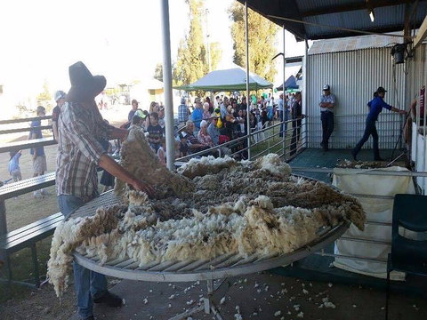 Narrabri Show - Events Australia 0