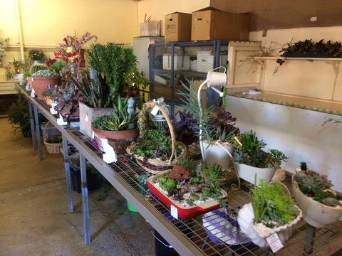 Narrabri Show - Events Australia 2