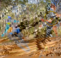 NSW State Downhill Mountain Bike Championships - Events Australia