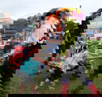 Pambula Show - Events Australia