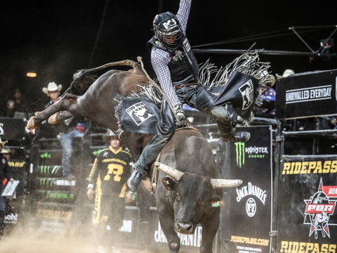 PBR Hawkesbury Stampede - Tourism Bookings 0