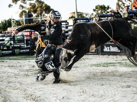 PBR Hawkesbury Stampede - Tourism Bookings 2