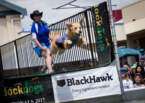 Perth Royal Show - Events Australia 2