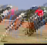 Pride of the West Races 2020 - Events Australia