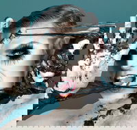 Reuben Kaye Comes Out to Play - Events Australia