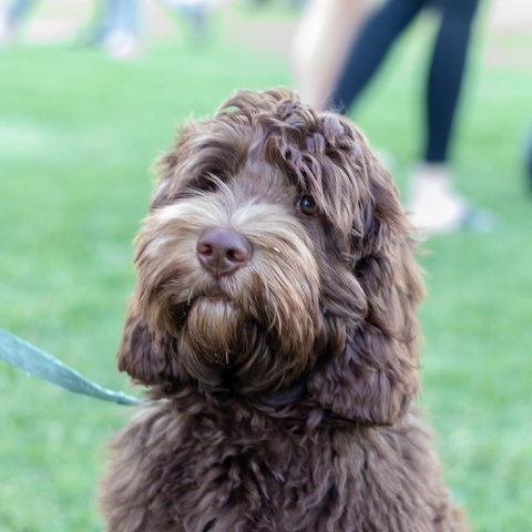 Ripley Markets - Tourism Bookings 1