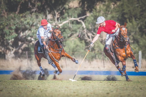 Scone Horse Festival - Events Australia 1