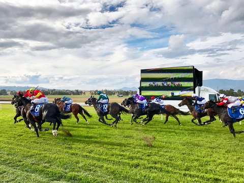 Scone Horse Festival - Events Australia 2