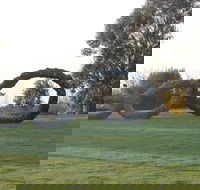 SculptureShaw - Events Australia
