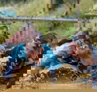 Suck It Up Buttercup Vikings Obstacle Course - Events Australia