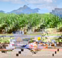 Taste Tweed - Events Australia