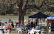 The Great Murray River Salami Festival - thumb 1
