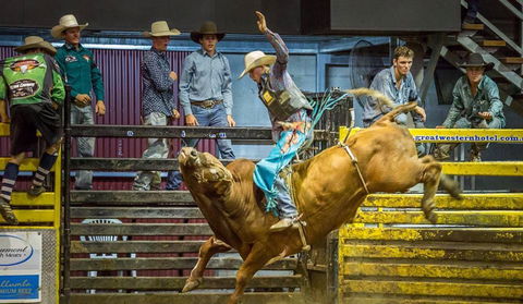 Top Gun And Young Gun Series Round 7 - Tourism Bookings 0