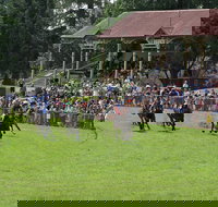Tumut Derby Day - Events Australia
