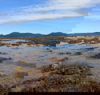 Walk to the Reef - Events Australia