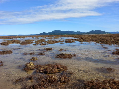 Walk To The Reef - Events Australia 0
