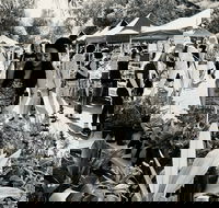 Yamba Farmers and Producers Market - Events Australia