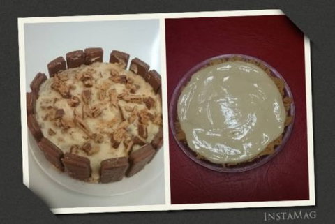 The Magnolia Tree - - Tourism Bookings 1