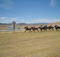 Adaminaby Cup Race Day - Tourism Bookings