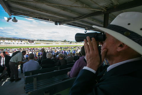 Albury Racing Club Boxing Day Races - Events Australia 1