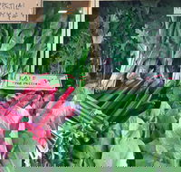 Albury Wodonga Farmers Market - Events Australia