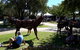 ArtOut Artisan Market - thumb 0