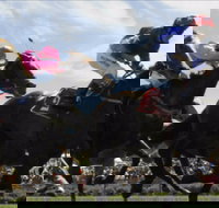 Batemans Bay Cup - Events Australia