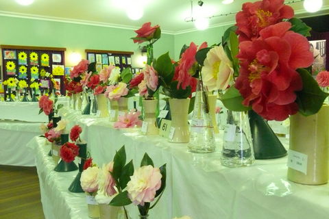 Blackheath Flower And Craft Show - Events Australia 1