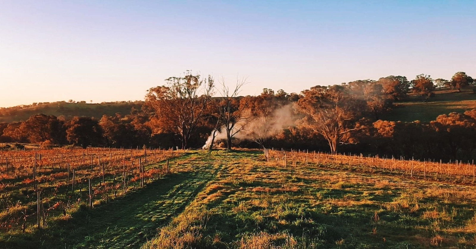 Lidster NSW Tourism Bookings
