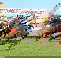 Casino Cup - Events Australia