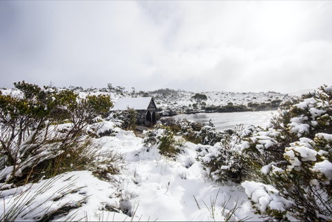 Christmas In July At Cradle Mountain Hotel 2020 - Tourism Bookings 0