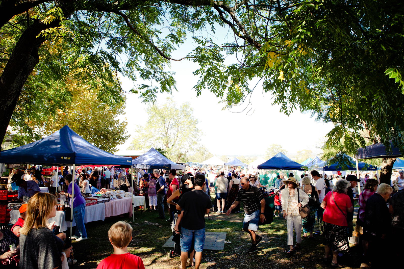 Cobbitty NSW Events Australia