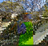 Conservation Volunteers Australia Townsville - Beach Scrub Conservation - Tourism Bookings