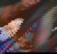 Cootamundra Mind Body and Spirit Festival - Events Australia